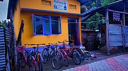 Frontal View