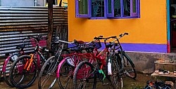 Cycle Stand